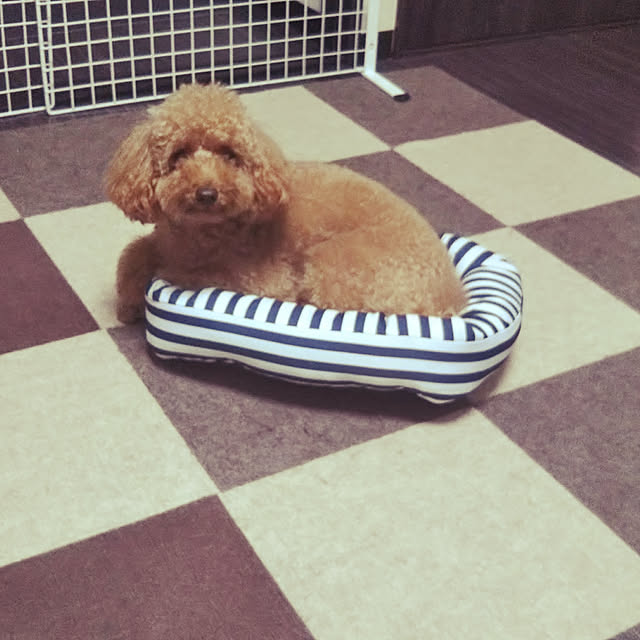 midayoooさんの実例写真