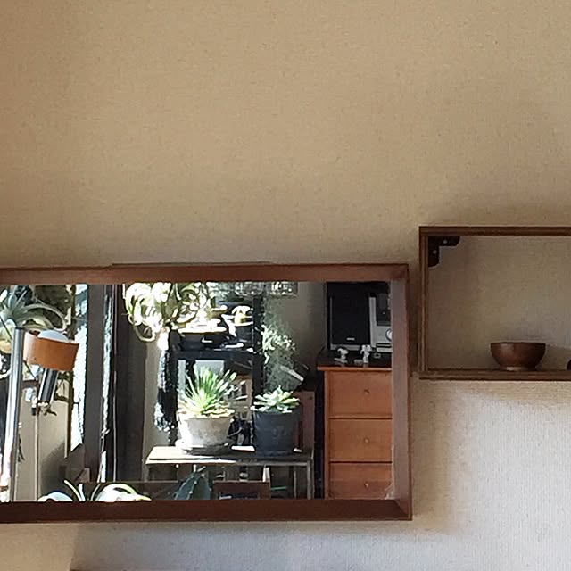 kinachanさんの実例写真