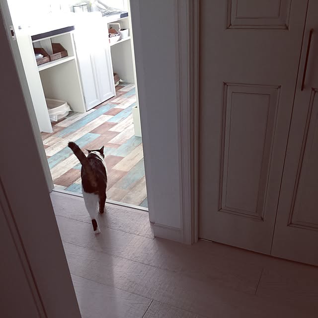 yuchiさんの実例写真