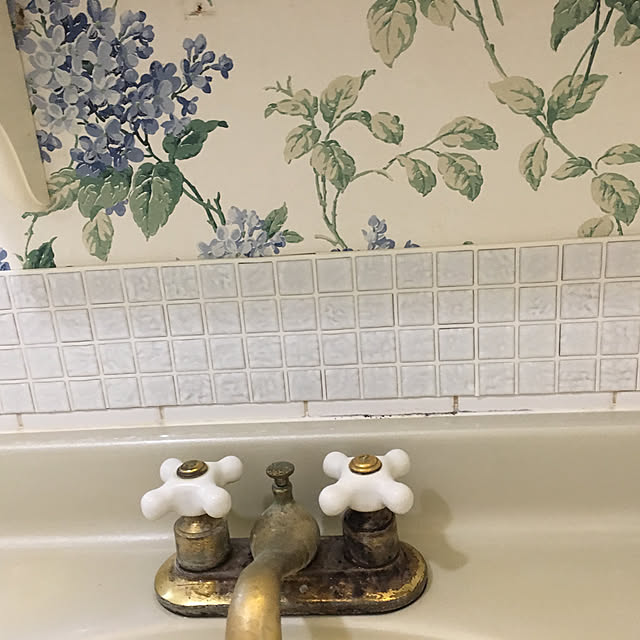 momoさんの実例写真