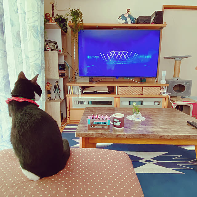 moolさんの実例写真