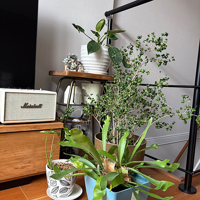 maayaroomさんの部屋