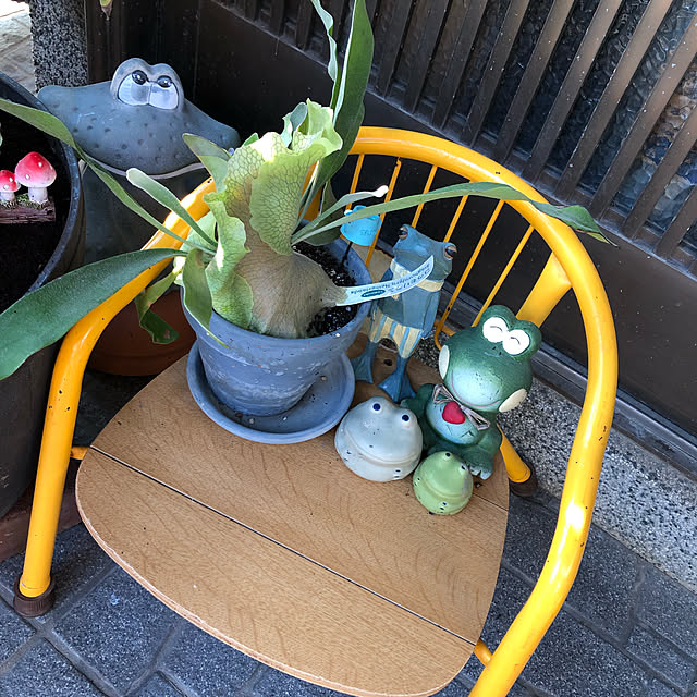 kaeruさんの実例写真