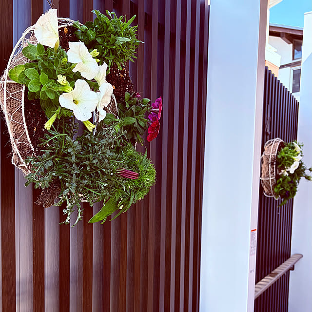 chacoさんの部屋