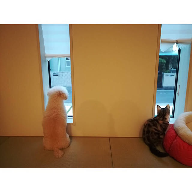 mikkumikuさんの実例写真