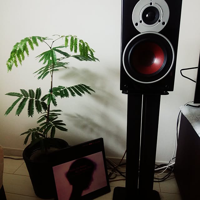 Pomme7710さんの実例写真