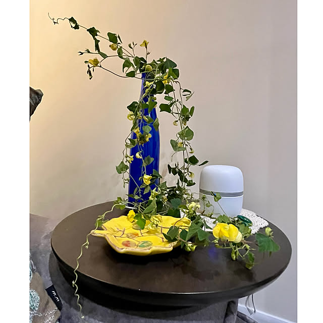 cotaさんの部屋