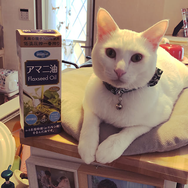 moyuhiさんの実例写真