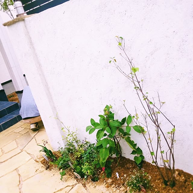 becteさんの実例写真