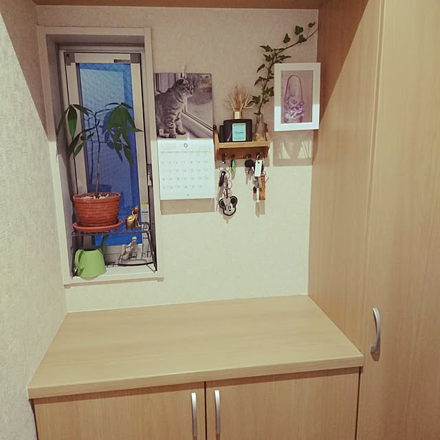 zuwaiさんの実例写真