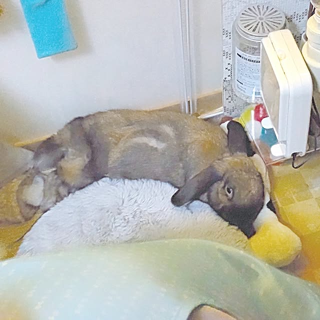 mariaさんの実例写真