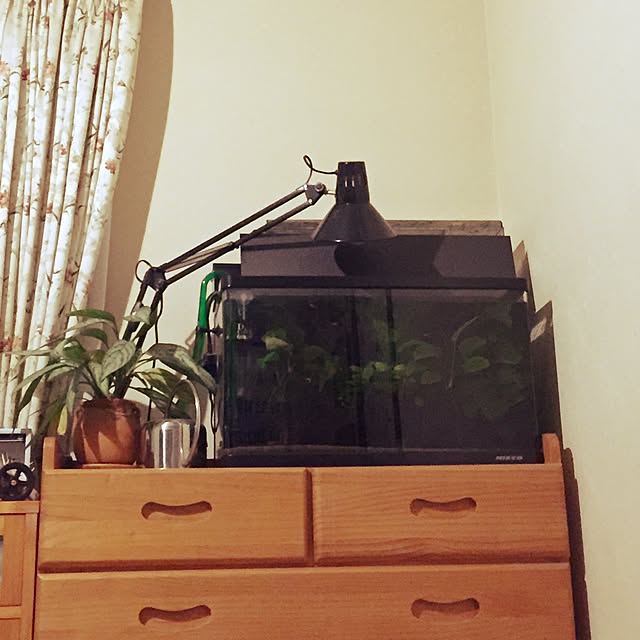 Takumi0505さんの実例写真