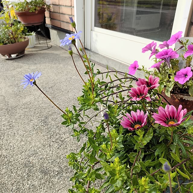 kiraさんの部屋