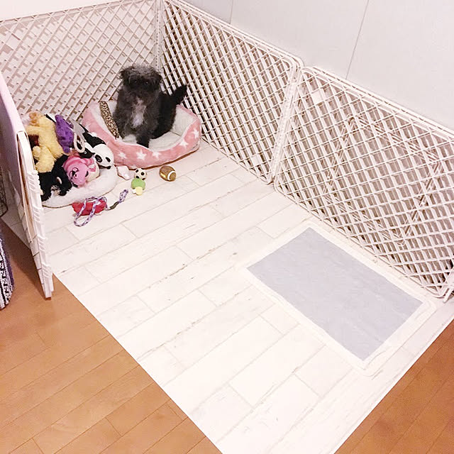 masumijoさんの実例写真