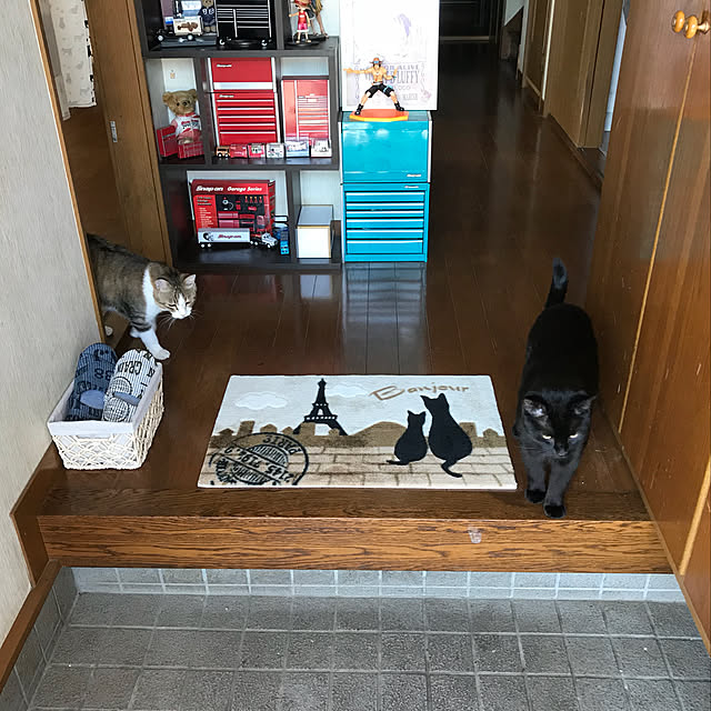 kami_haさんの実例写真
