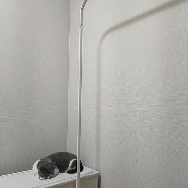 KEIKOさんの部屋
