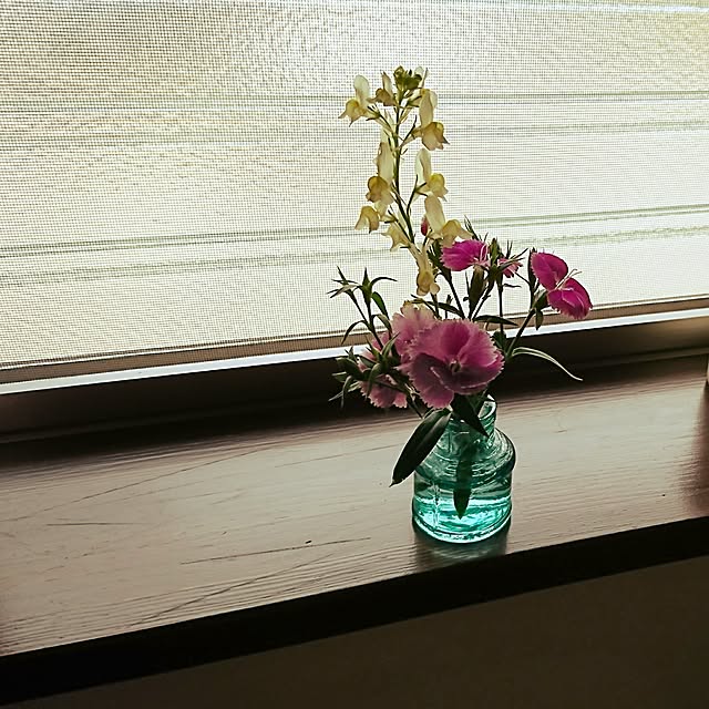 MIYAMIYAさんの実例写真
