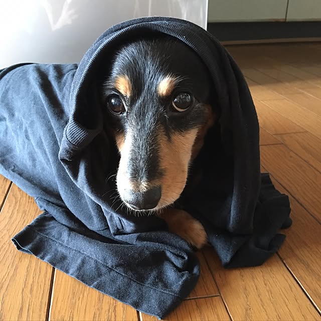 ohanaさんの実例写真