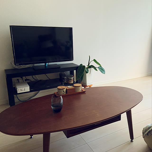 観葉植物/IKEA/ニトリ/一人暮らし/リビングのインテリア実例 - 2019-11-10 11:16:16
