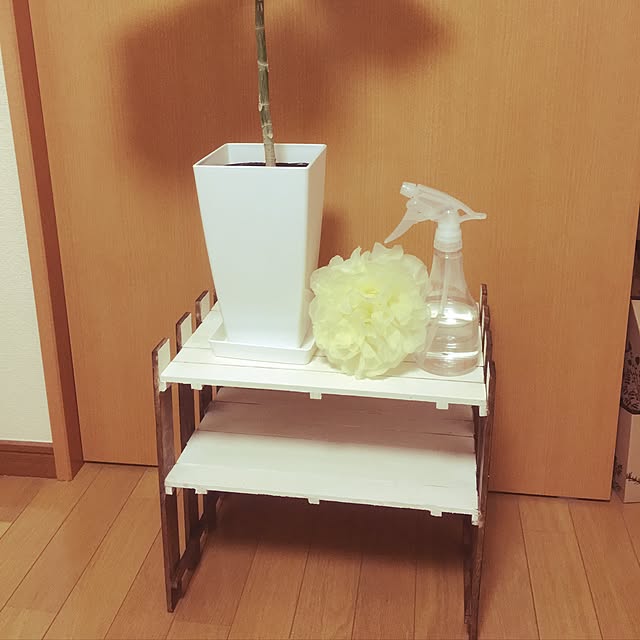 Mariさんの実例写真