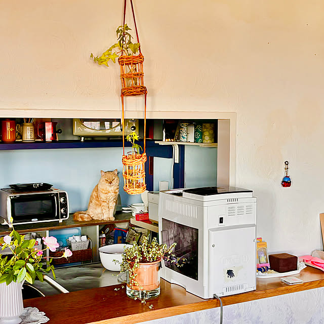 naokoさんの部屋