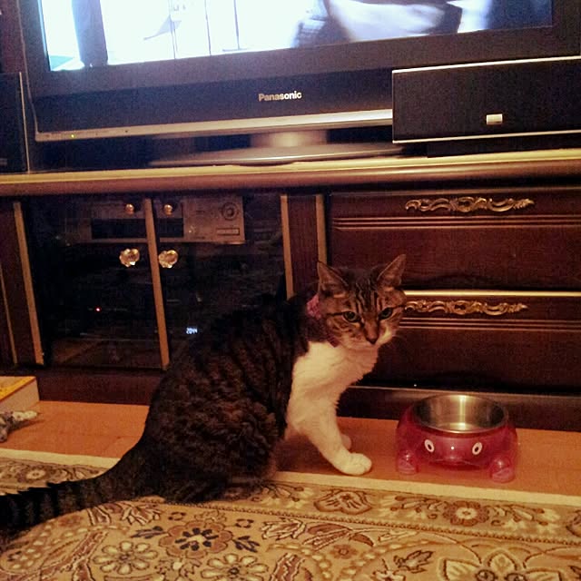 emmyyさんの実例写真