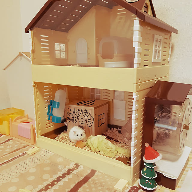 masachinn.さんの実例写真
