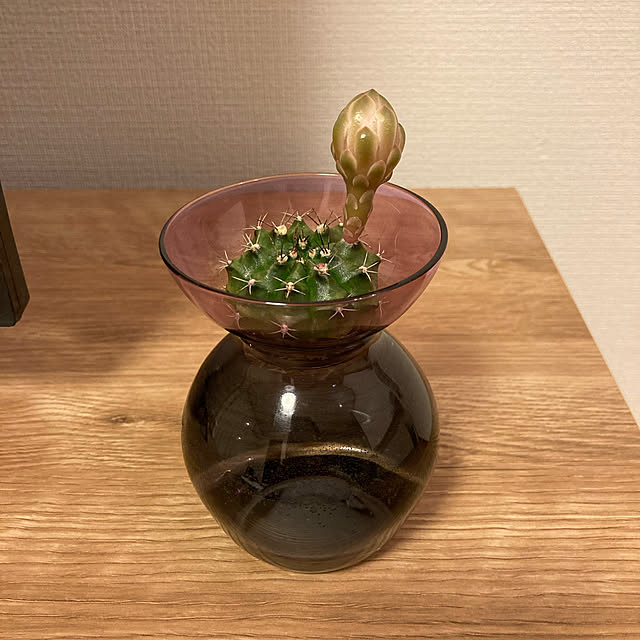 momonさんの実例写真