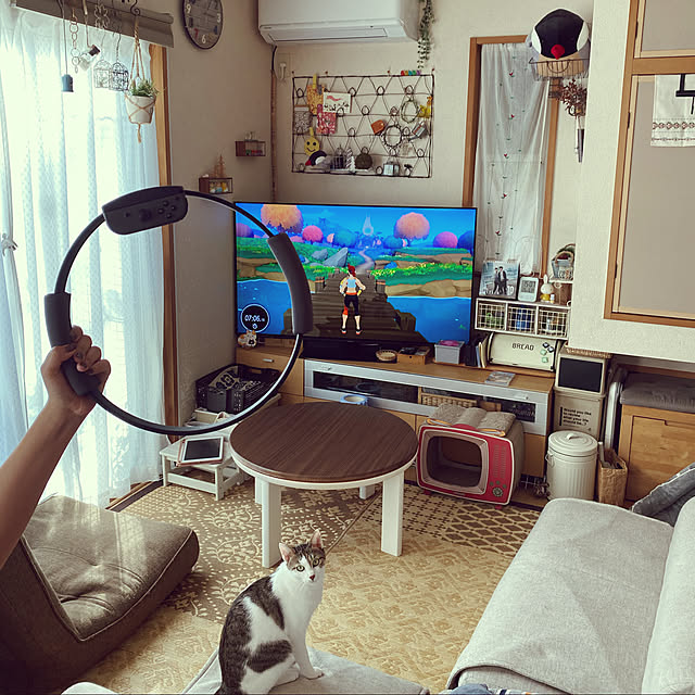 Lufuさんの実例写真