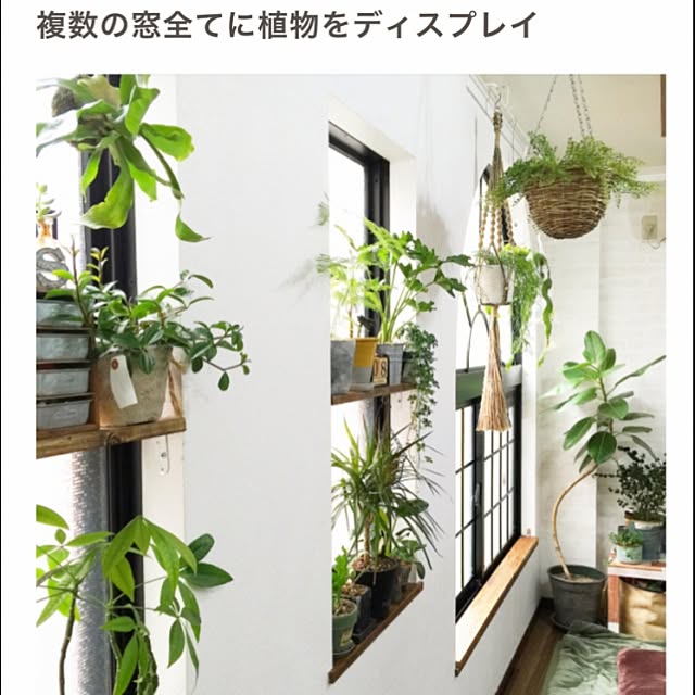kiki_nekkoさんの実例写真