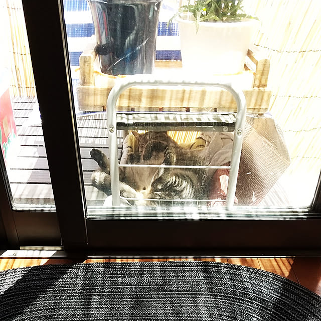 komgi12さんの実例写真