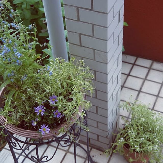 emiemiさんの実例写真