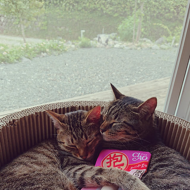 ayabooohさんの実例写真