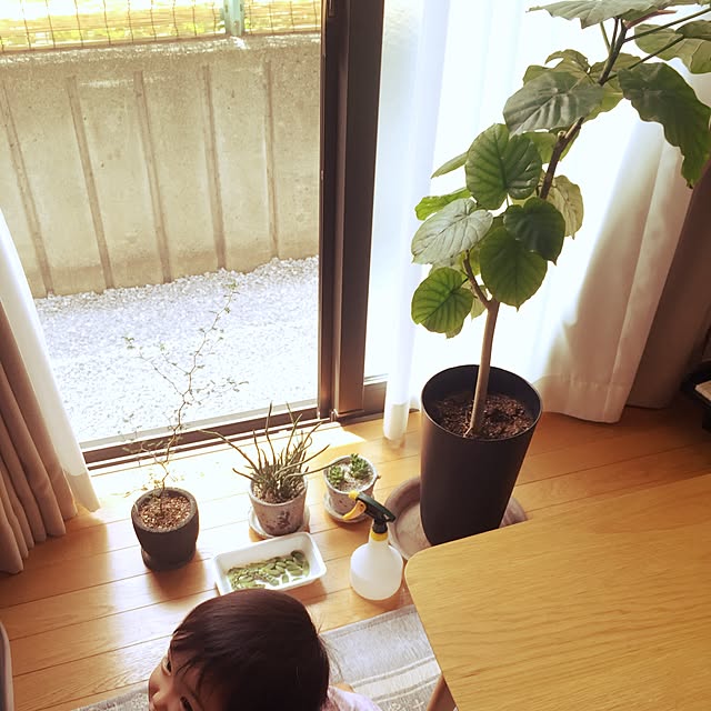 n_ikumiiiさんの実例写真