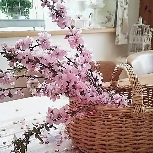 s.mamaさんの実例写真