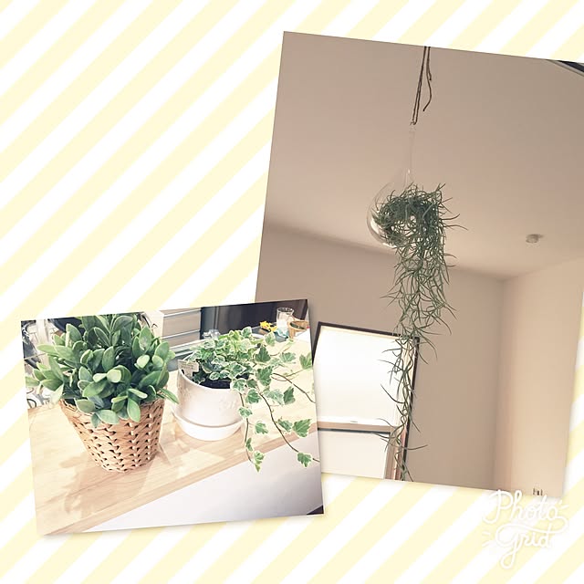 gachamipoさんの実例写真