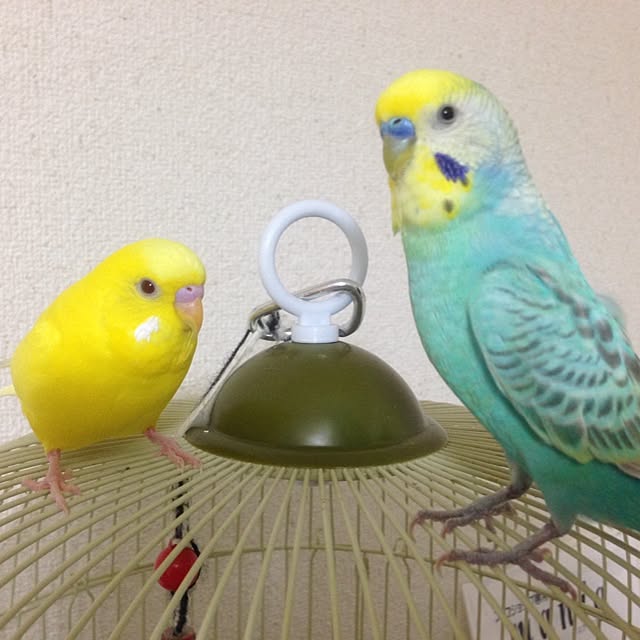 hiさんの実例写真