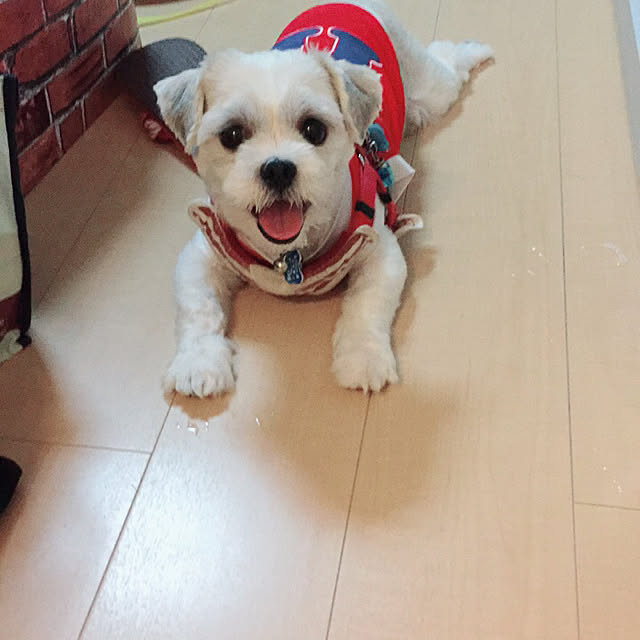 emiさんの実例写真