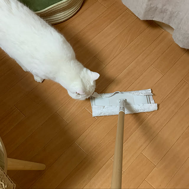 Machikoさんの実例写真