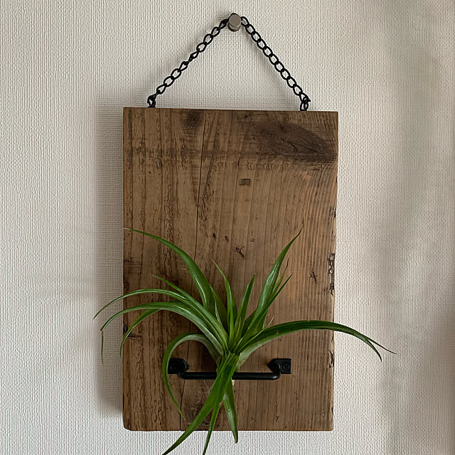 アンティーク/ハンドメイド/DIY/男前/観葉植物...などのインテリア実例 - 2021-09-20 16:01:42