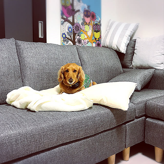 yasukoさんの実例写真