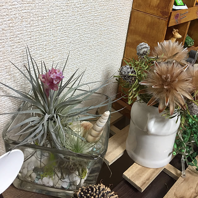 emiさんの部屋