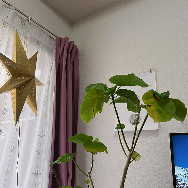mimoriさんの部屋