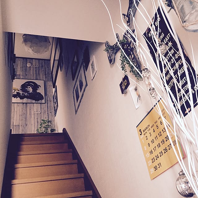 painmomoさんの実例写真