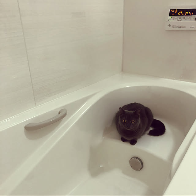 shizuka.さんの実例写真