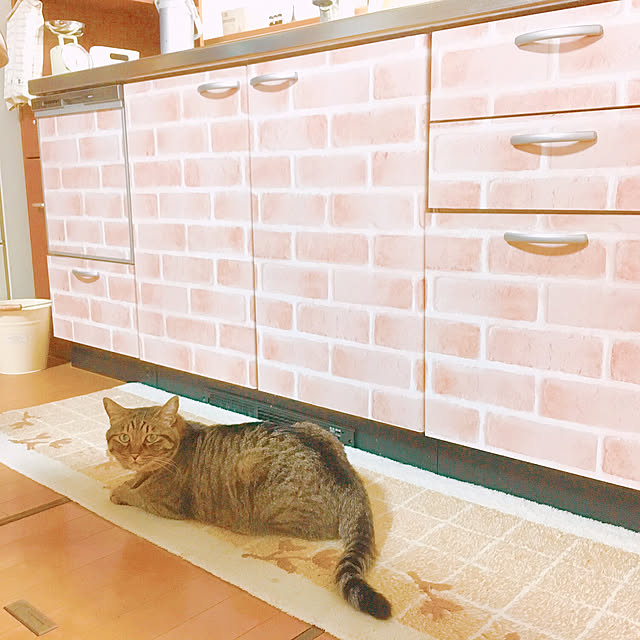 cocomaroさんの実例写真
