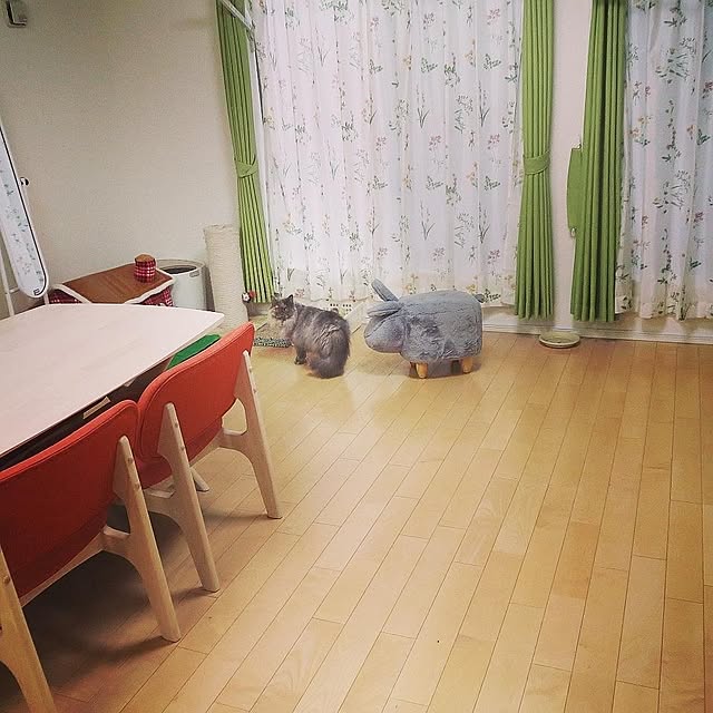 hiroshiさんの実例写真