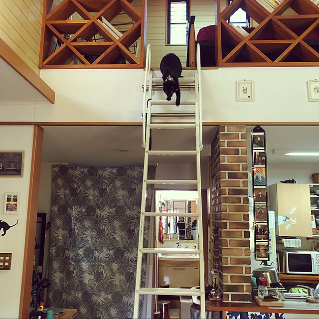 jijiさんの実例写真