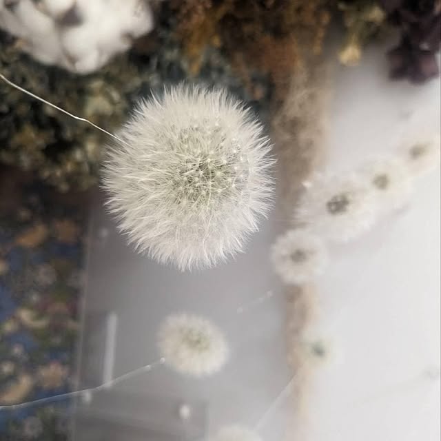 fumitanさんの部屋