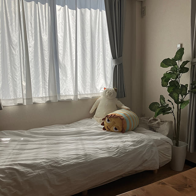 82031さんの実例写真